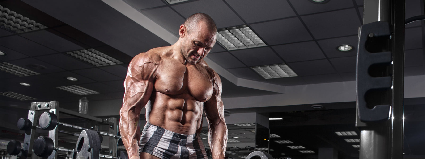 What is Follistatin 344 and Does it Build Muscle?