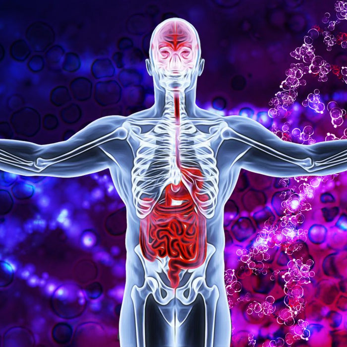 Boost Immune Function with Vitamin D