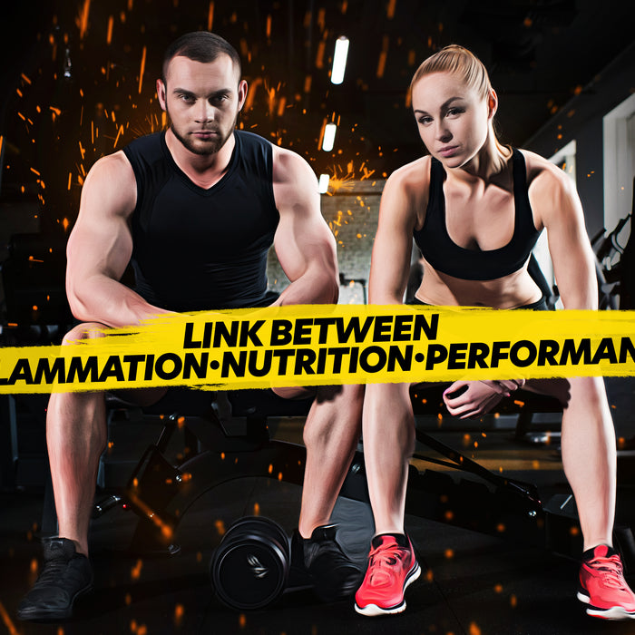 Relationship Between Inflammation, Nutrition & Immune Support