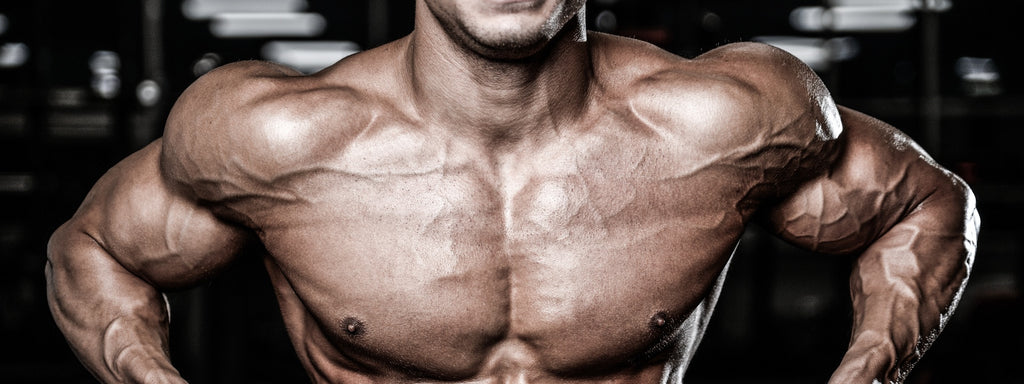 Block Training - Brief & Brutal Muscle Building Workouts — Tiger Fitness