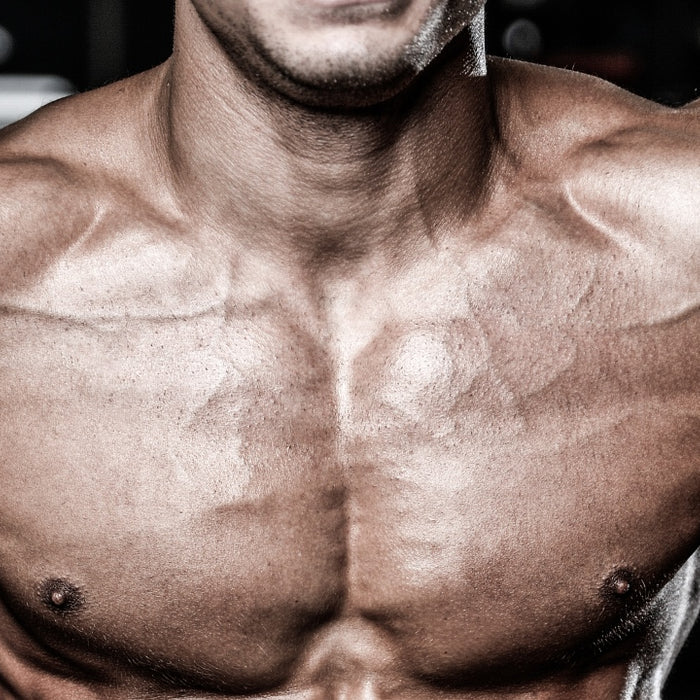 Purus Labs Unleashes Creagyn Featuring Magnesium Chelated Creatine