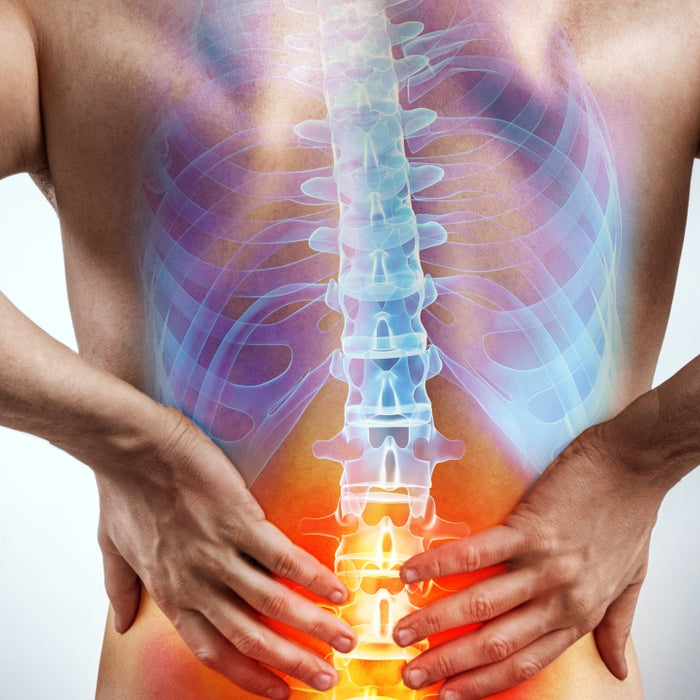 Ease Lower Back Pain Now With These 10 Simple Exercises