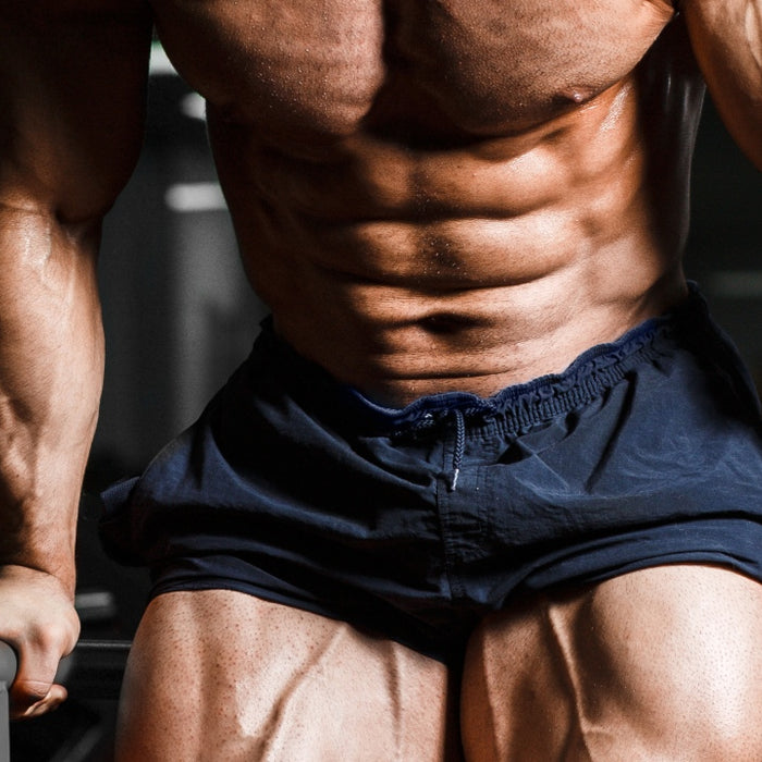 Shredded Abs Year-Round: Is the Cost Worth It?