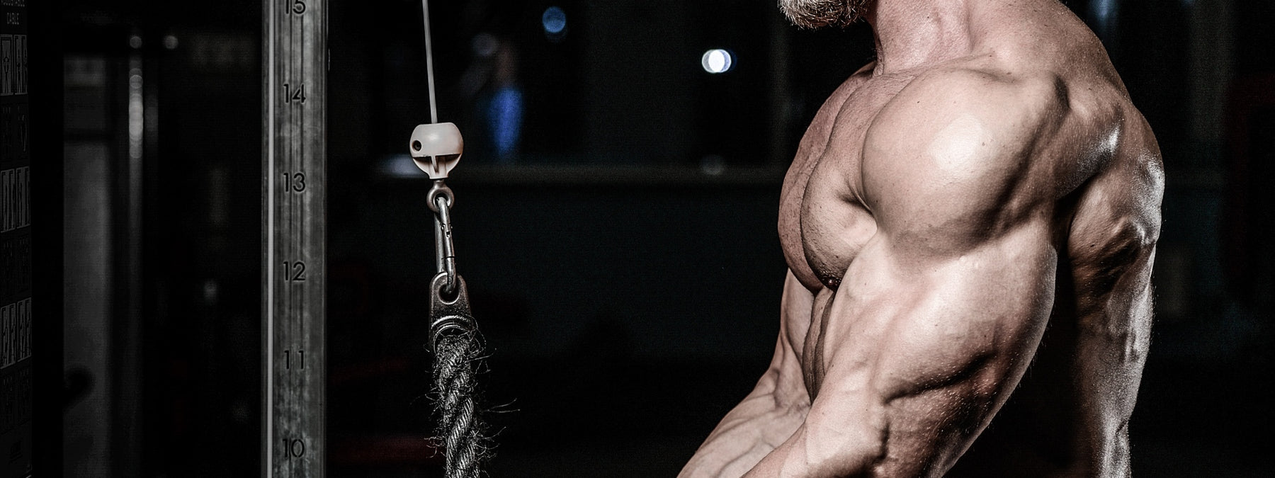 How to Grow the 5 Toughest Muscle Groups