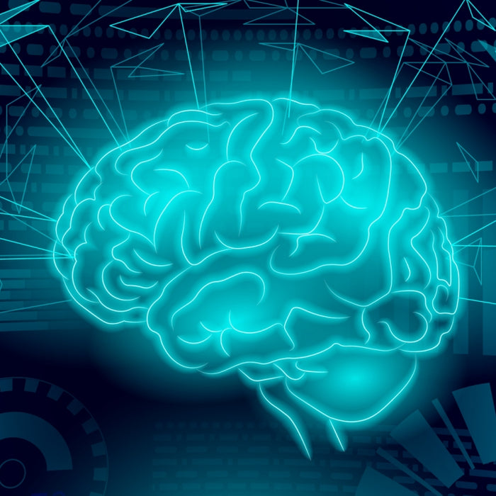 Caffeine + L-Theanine - The Ultimate Beginner Nootropic