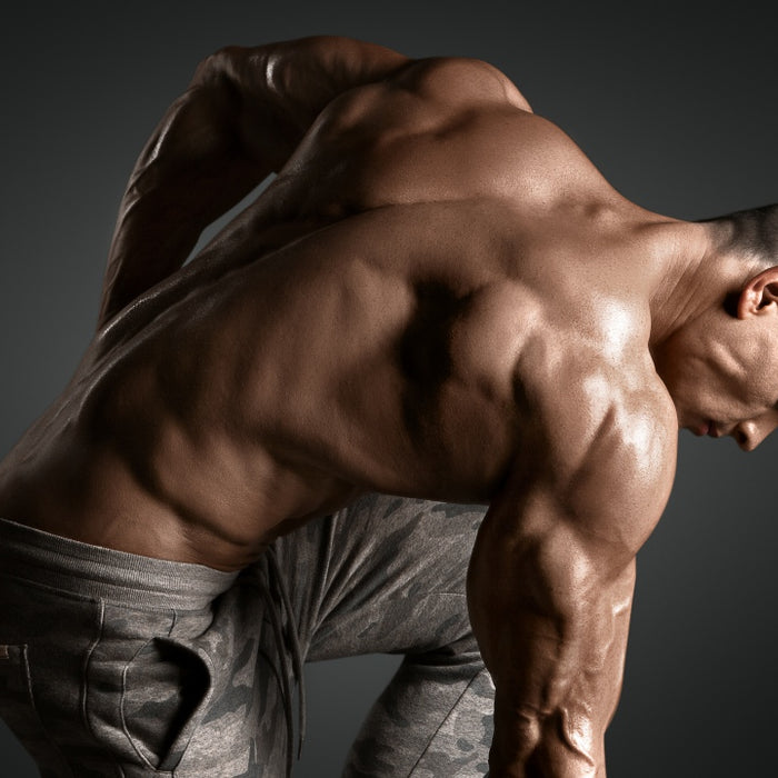 Top 9 Supplements for Bodybuilders