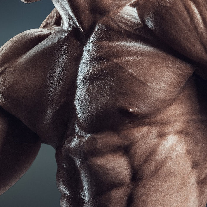 Progressive Overload: The Fuel That Drives Muscle Gains