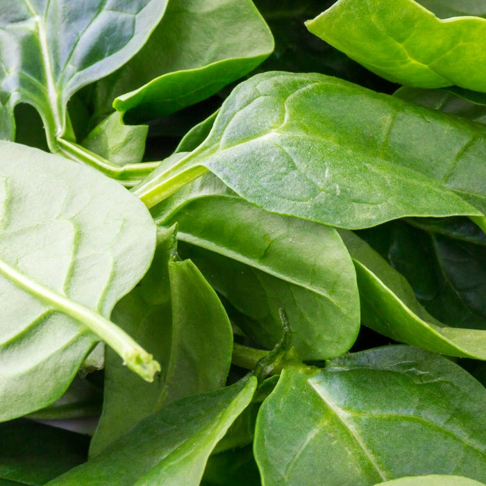 10 Low Calorie Filling Foods