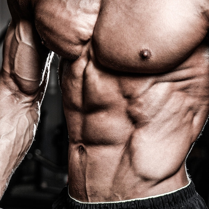 The Stress-Free Approach To Training