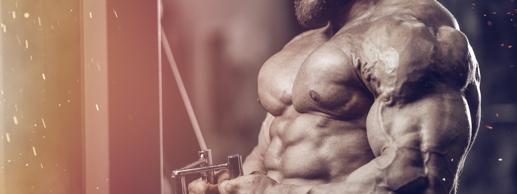 Build More Mass and Strength With Negatives