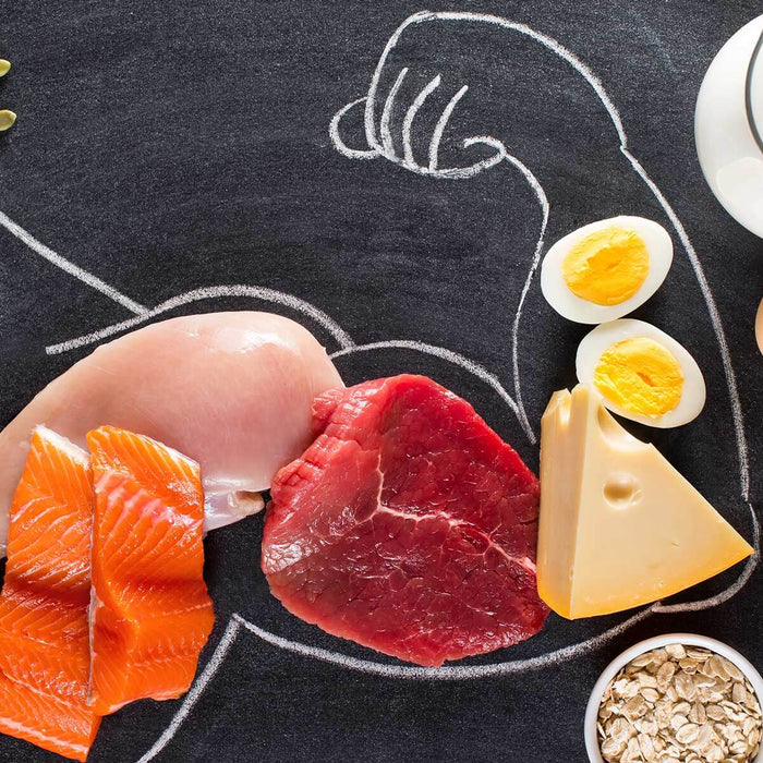 How Much Protein Per Day is Needed to Build Muscle?