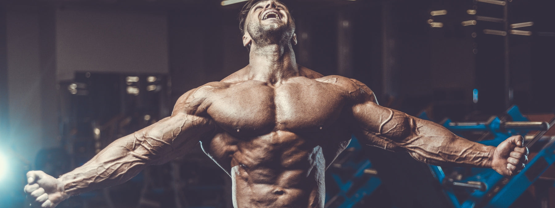 Build Bigger Traps With These 8 Exercises