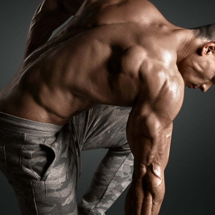 How to Get Bigger Triceps: The Intermediate's Guide