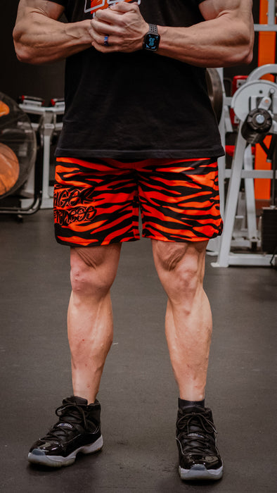 TF Tiger Print Shorts
