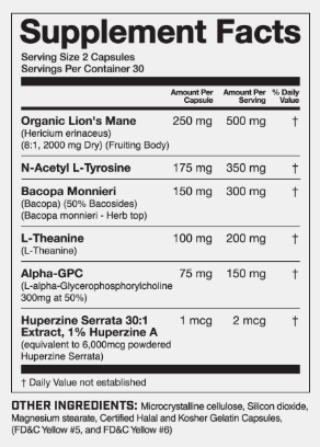 Magnum Mane Brain Nootropic Supplement Facts and Ingredients – TigerFitness.com