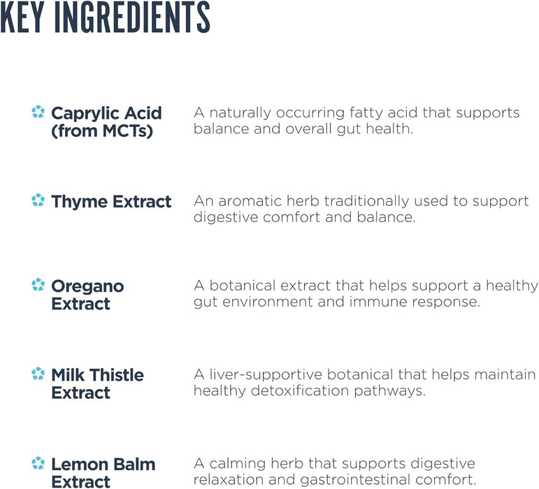 Revive MD Gut Health | Daily Gut Repair & Digestive Support Formula