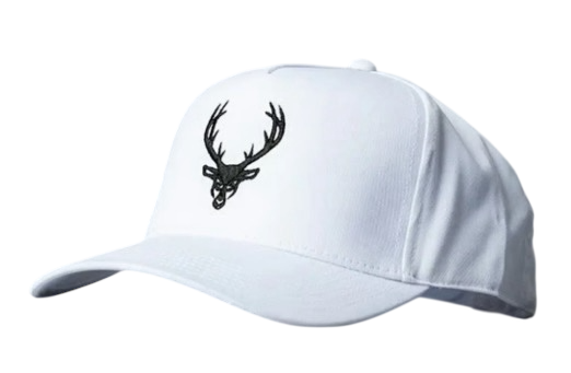 🎁 Bucked Up A-Frame Snapback Hat (100% off)