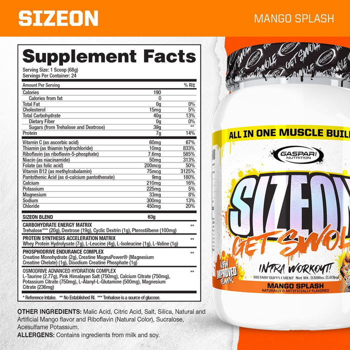 Gaspari Nutrition SizeOn | Intra-Workout Creatine